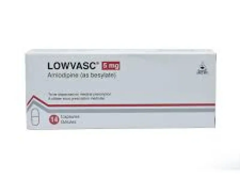 LOWVASC 5MG 28CAPS
